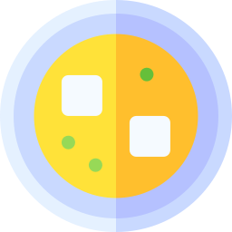 Miso icon