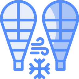 Snowshoes icon