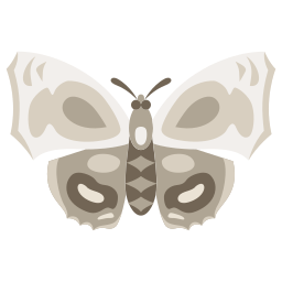 papillon Icône