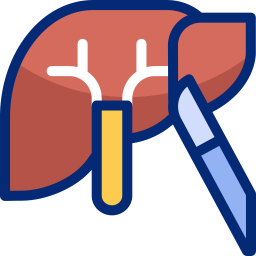 hepatectomie icoon