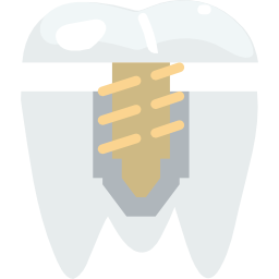 prämolar icon