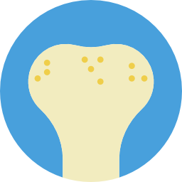 Bone icon