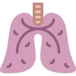 Lungs icon