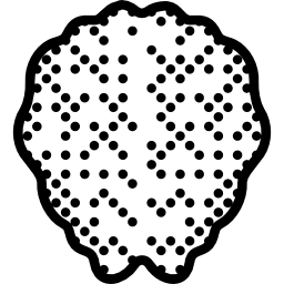 Brain icon