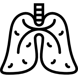 Lungs icon