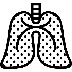 Lungs icon