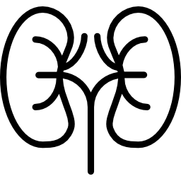 Kidney icon