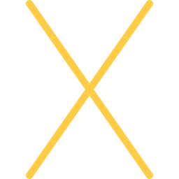 X icon