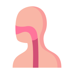 larynx Icône