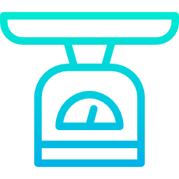 Scale icon