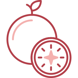 Guava icon