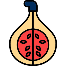 Fig icon