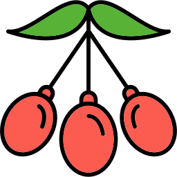 Wolfberry icon