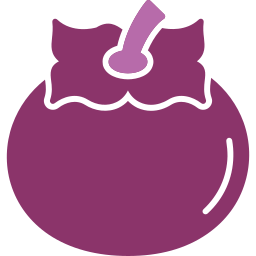 Persimmon icon