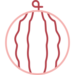 Watermelon icon