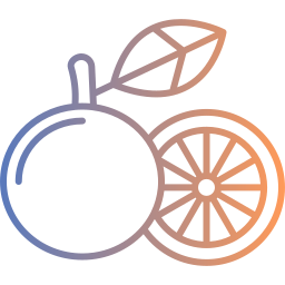 Grapefruit icon