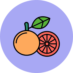 Grapefruit icon