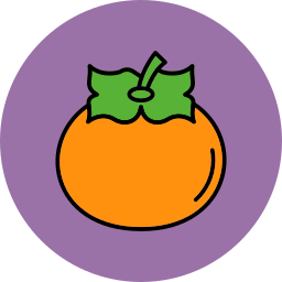 Persimmon icon