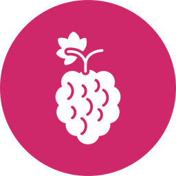 Raspberries icon