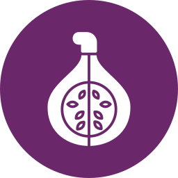 Fig icon