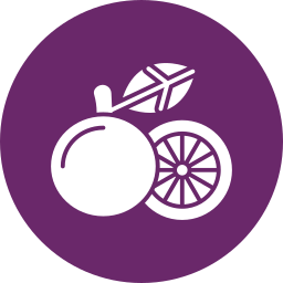 Grapefruit icon