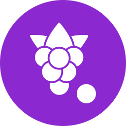 Boysenberry icon