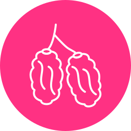 Dates icon