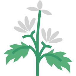 Herb icon