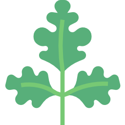 Parsley icon