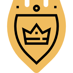 Shield icon