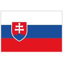 flagge icon