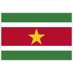 Flag icon