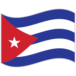 flagge icon