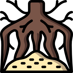 Root icon