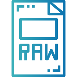 Raw file icon