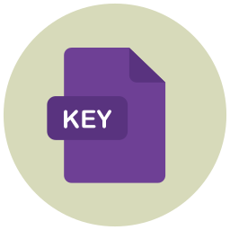 Key icon