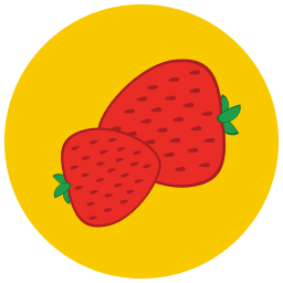 fruit icoon