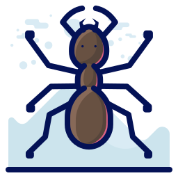 Insect icon