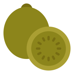 kiwi icon