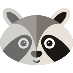 Racoon icon