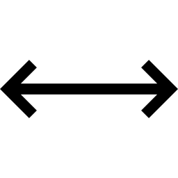 Double arrow icon