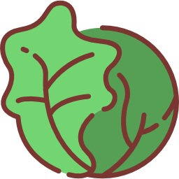 Cabbage icon