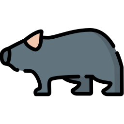 Wombat icon