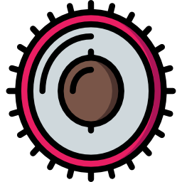 Lychee icon