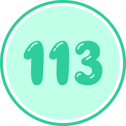 113 icon