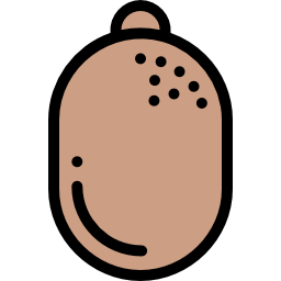 kiwi icon