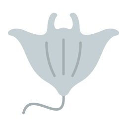 Stingray icon