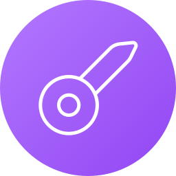 Key icon