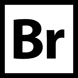 adobe bridge icon