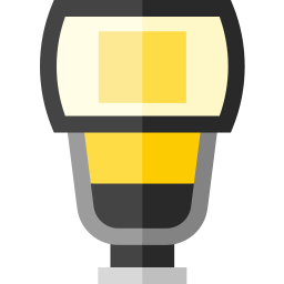 Flash icon